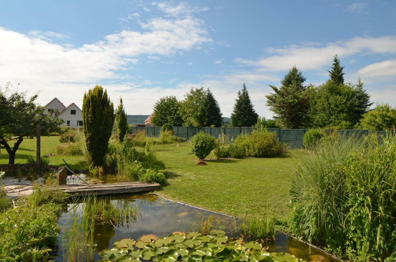 Gite Cigogne Odratzheim Exterior foto